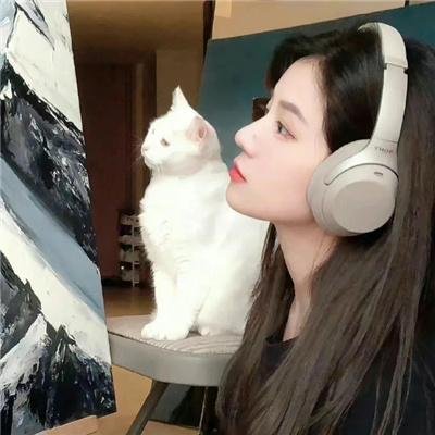 亲爱的朋友